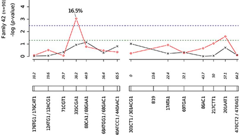 Genetic mapping of specific interactions between Aedes aegypti mosquitoes and dengue viruses