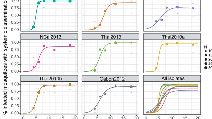 Epidemiological significance of dengue virus genetic variation in mosquito infection dynamics