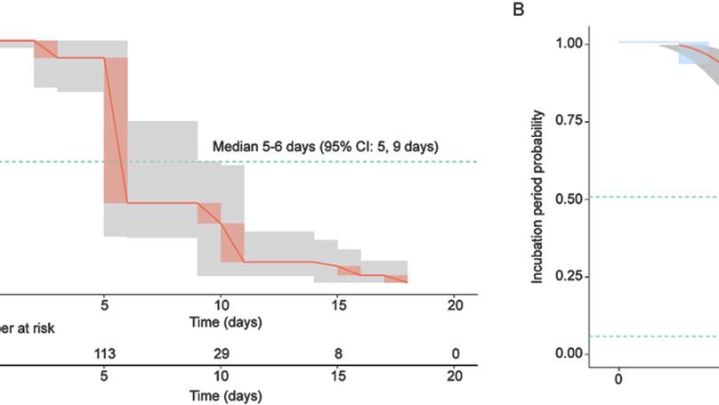 Variability of Zika virus incubation period in humans